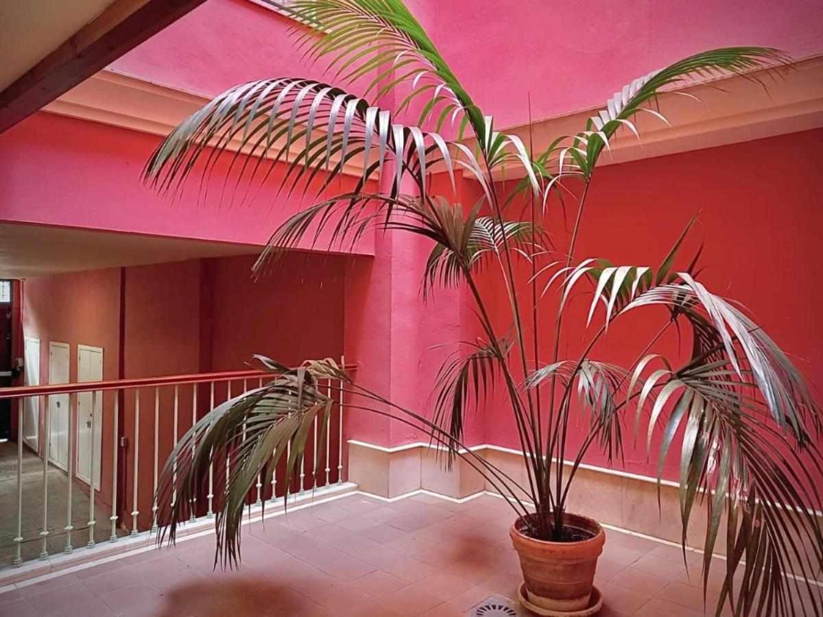 Apartamento Sauceda 7 Σεβίλλη Εξωτερικό φωτογραφία